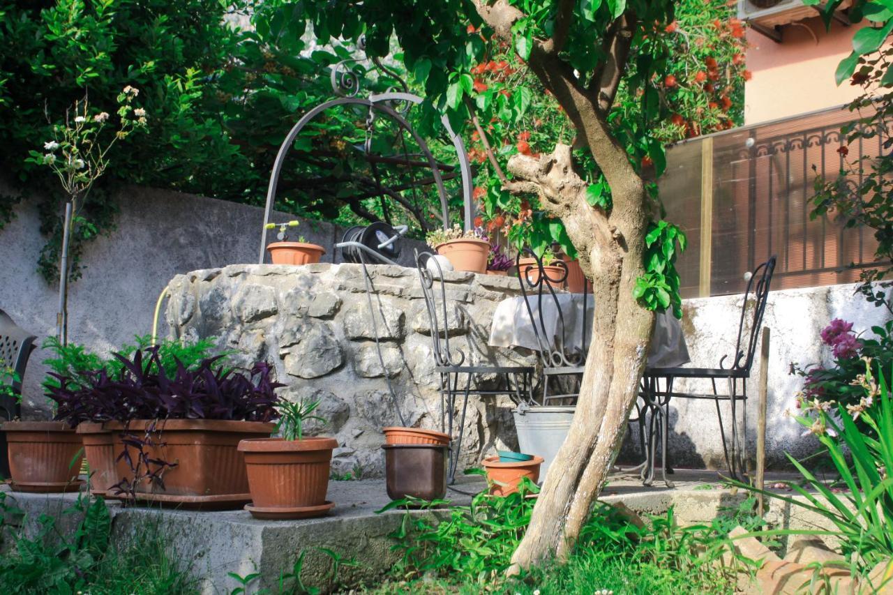 Sunny Bay Apartments Kotor Exterior foto