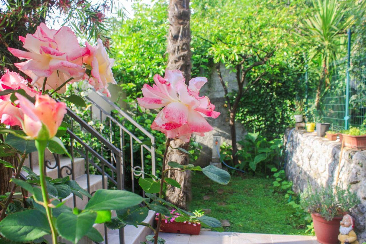 Sunny Bay Apartments Kotor Exterior foto